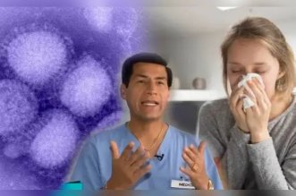 IMG 20251212 151425 800 x 533 pixel