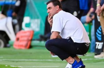 IMG 20251212 230501 800 x 533 pixel