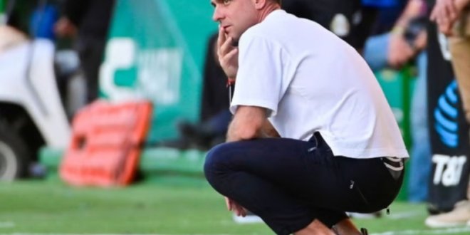 IMG 20251212 230501 800 x 533 pixel