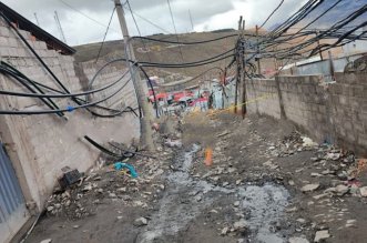 IMG 20251218 111302 800 x 533 pixel