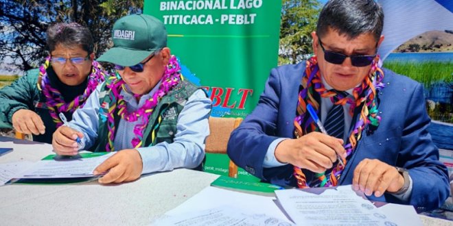 IMG 20251218 154819 800 x 533 pixel