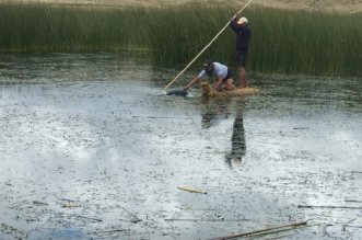 IMG 20251218 154828 800 x 533 pixel