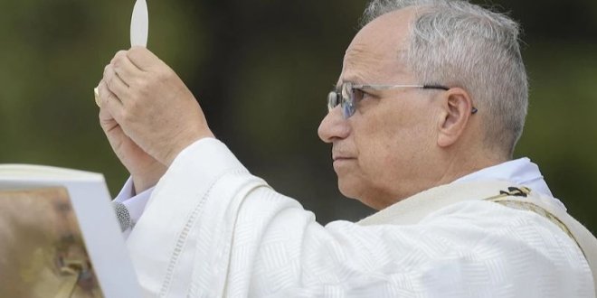 IMG 20251224 154743 800 x 533 pixel