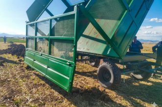 IMG 20251224 182421 800 x 533 pixel