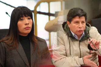 IMG 20251224 185355 800 x 533 pixel