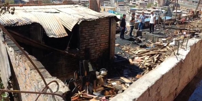 IMG 20251225 101827 800 x 533 pixel