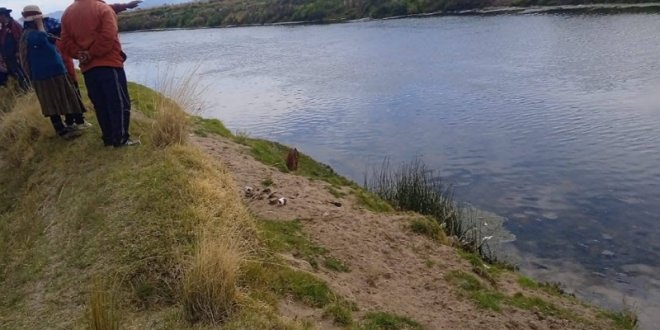 IMG 20251225 184538 800 x 533 pixel