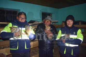 IMG 20251225 224750 800 x 533 pixel