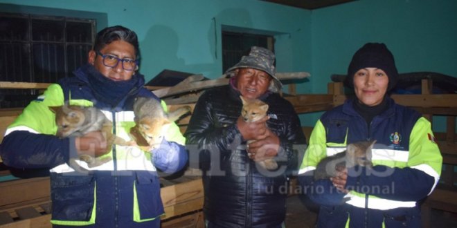 IMG 20251225 224750 800 x 533 pixel