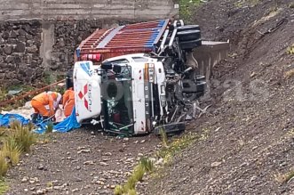 IMG 20251226 101531 800 x 533 pixel