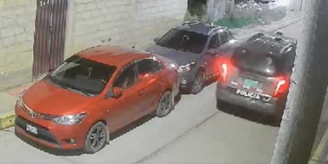 IMG 20251226 120433 800 x 533 pixel