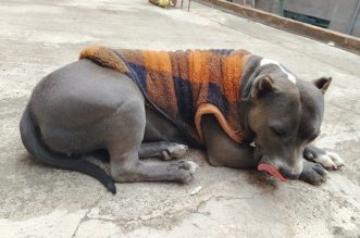 IMG 20251226 121436 800 x 533 pixel