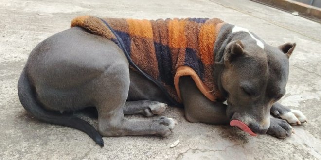 IMG 20251226 121436 800 x 533 pixel