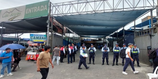 IMG 20251226 132214 800 x 533 pixel