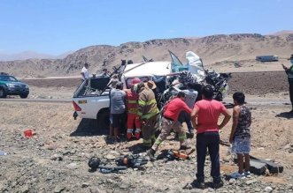 IMG 20251230 151744 800 x 533 pixel