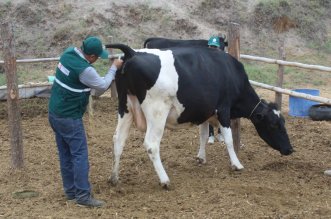 IMG 4712 e1576783231665