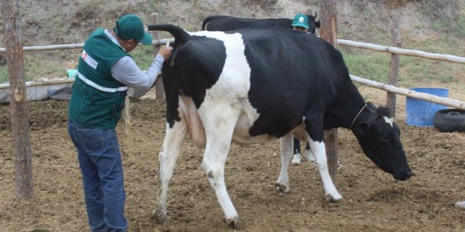 IMG 4712 e1576783231665