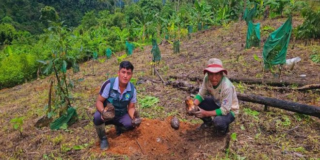 WhatsApp Image 2025 12 25 at 12.27.42 PM