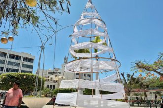 arbol chiclayo inician investigaciones 800x533 1