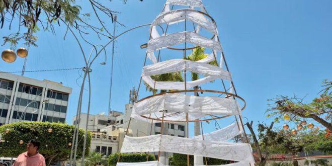 arbol chiclayo inician investigaciones 800x533 1