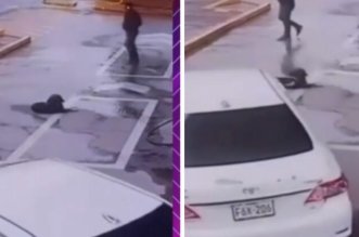 atropellan a perrito 800x419 1