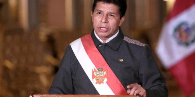 familiares pedro castillo postularian senado camara diputados 800x533 1