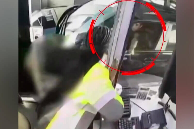 hombre maneja auto cadaver esposa fingir muerte 800x533 1