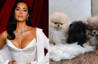 kim kardashian perros hijos criticas 800x533 1