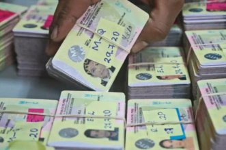 mafia brevetes falsos 800x533 1