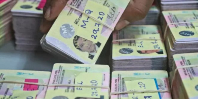 patentes mafiosas falsas 800x533 1