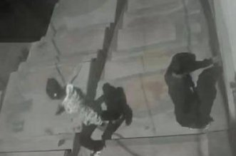 9aadd483 302f 48dd 9b1e 913c87718f32