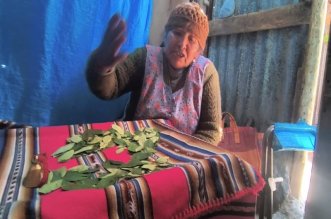 HOJA DE COCA ABRIDORA