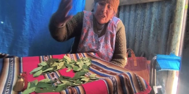 HOJA DE COCA ABRIDORA