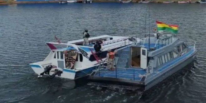 Hallan barcos con 200 cerdos de contrabando
