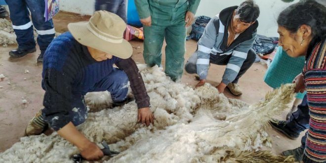 IMG 20260103 173624 800 x 533 pixel