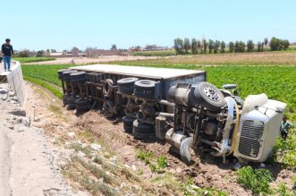 IMG 20260104 141542 800 x 533 pixel