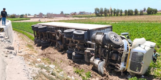 IMG 20260104 141542 800 x 533 pixel