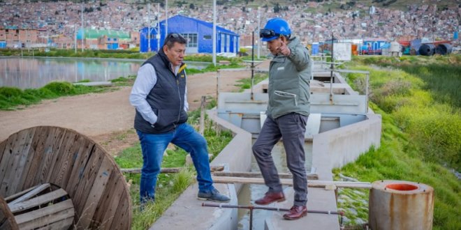 IMG 20260106 172712 800 x 533 pixel