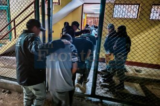 IMG 20260107 172031 800 x 533 pixel