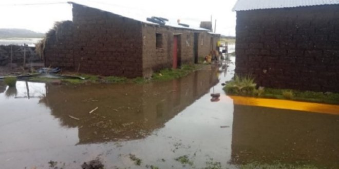 IMG 20260109 170813 800 x 533 pixel