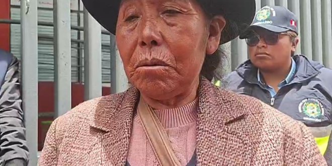 IMG 20260115 155336 800 x 533 pixel