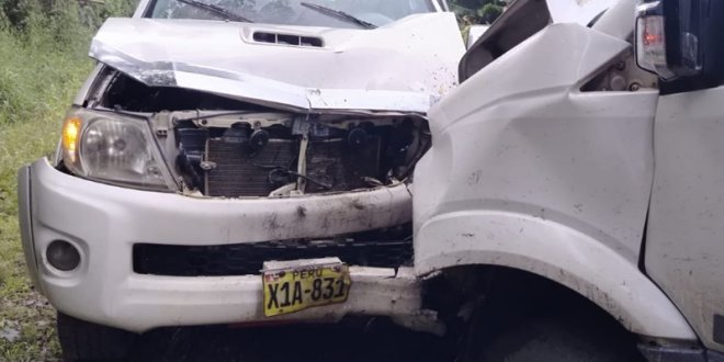 IMG 20260115 165309 800 x 533 pixel