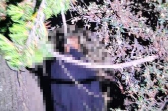 WhatsApp Image 2026 01 06 at 06.56.26