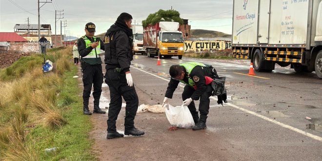 WhatsApp Image 2026 01 06 at 07.00.45