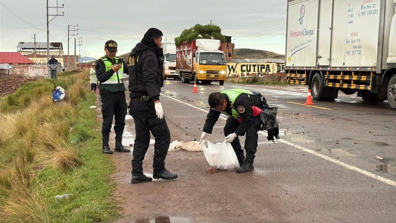 WhatsApp Image 2026 01 06 at 07.00.45