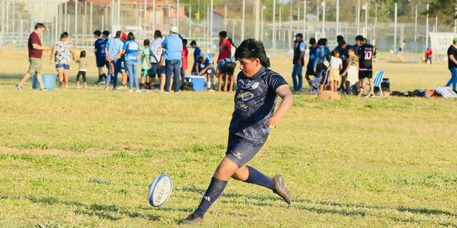 WhatsApp Image 2026 01 08 at 4.19.15 PM