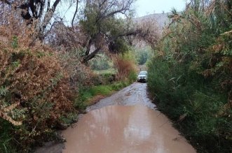 WhatsApp Image 2026 01 14 at 6.51.54 PM