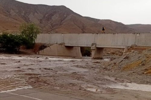 WhatsApp Image 2026 01 15 at 5.17.05 PM